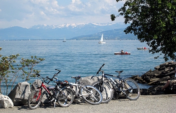 Bodensee-Radweg Aussicht vom Bodensee-Radweg