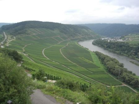 Moselradweg Am Moselradweg